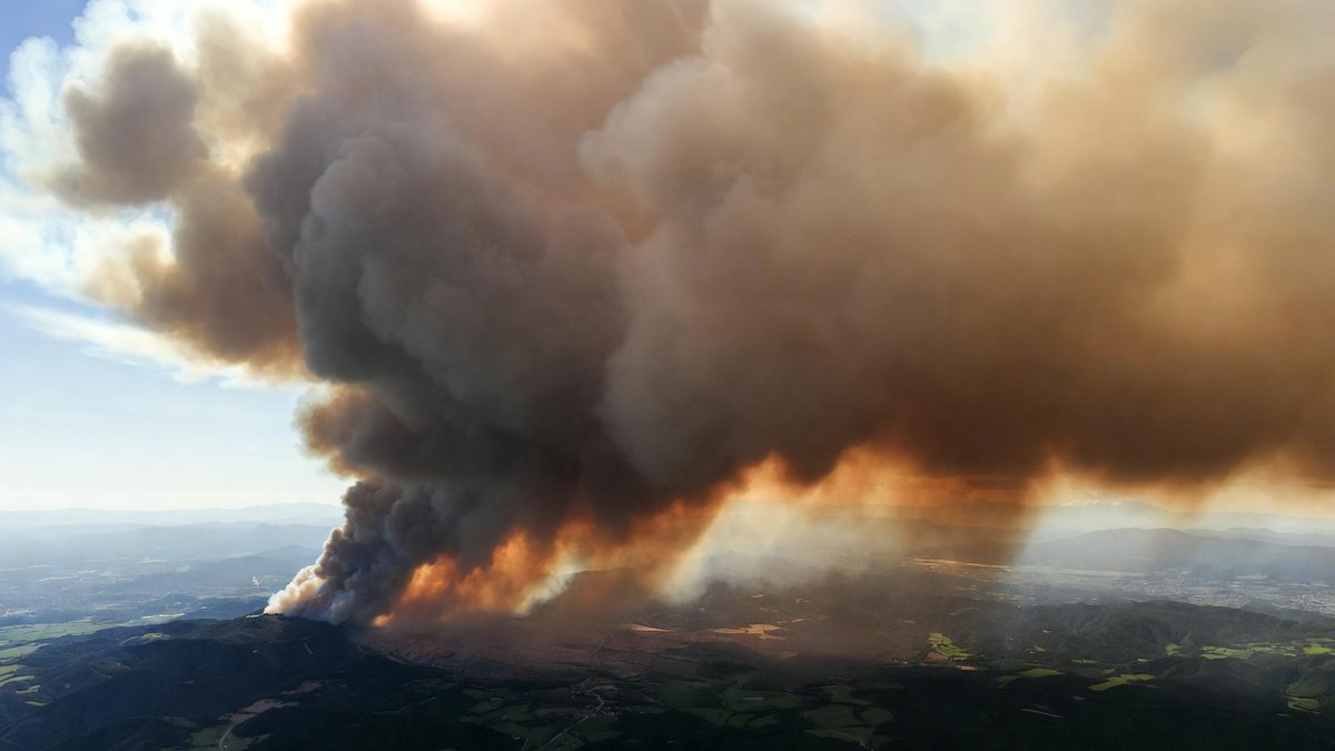 Raging Wildfires Sweep Japan — Mass Evacuations as Blazes Tear Through Communities