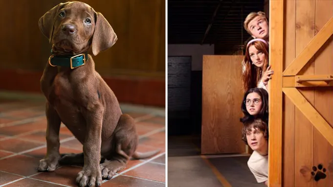 First Teaser for Live-Action ‘Scooby-Doo’ Series Drops – Netflix Set to Release in 2027
