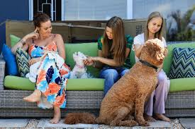 They Left for a Better Life — Now They're Coming Back: The White South Africans Returning Home Despite Trump